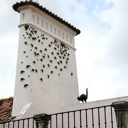 History House